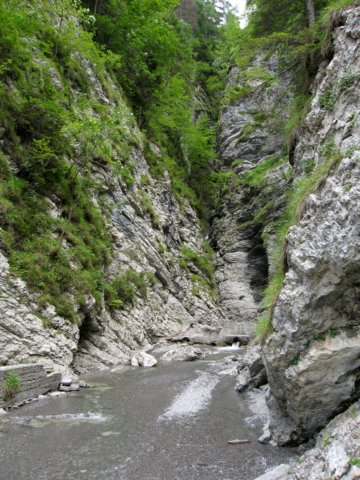 canyonneipressidelrifugiopussa.jpg